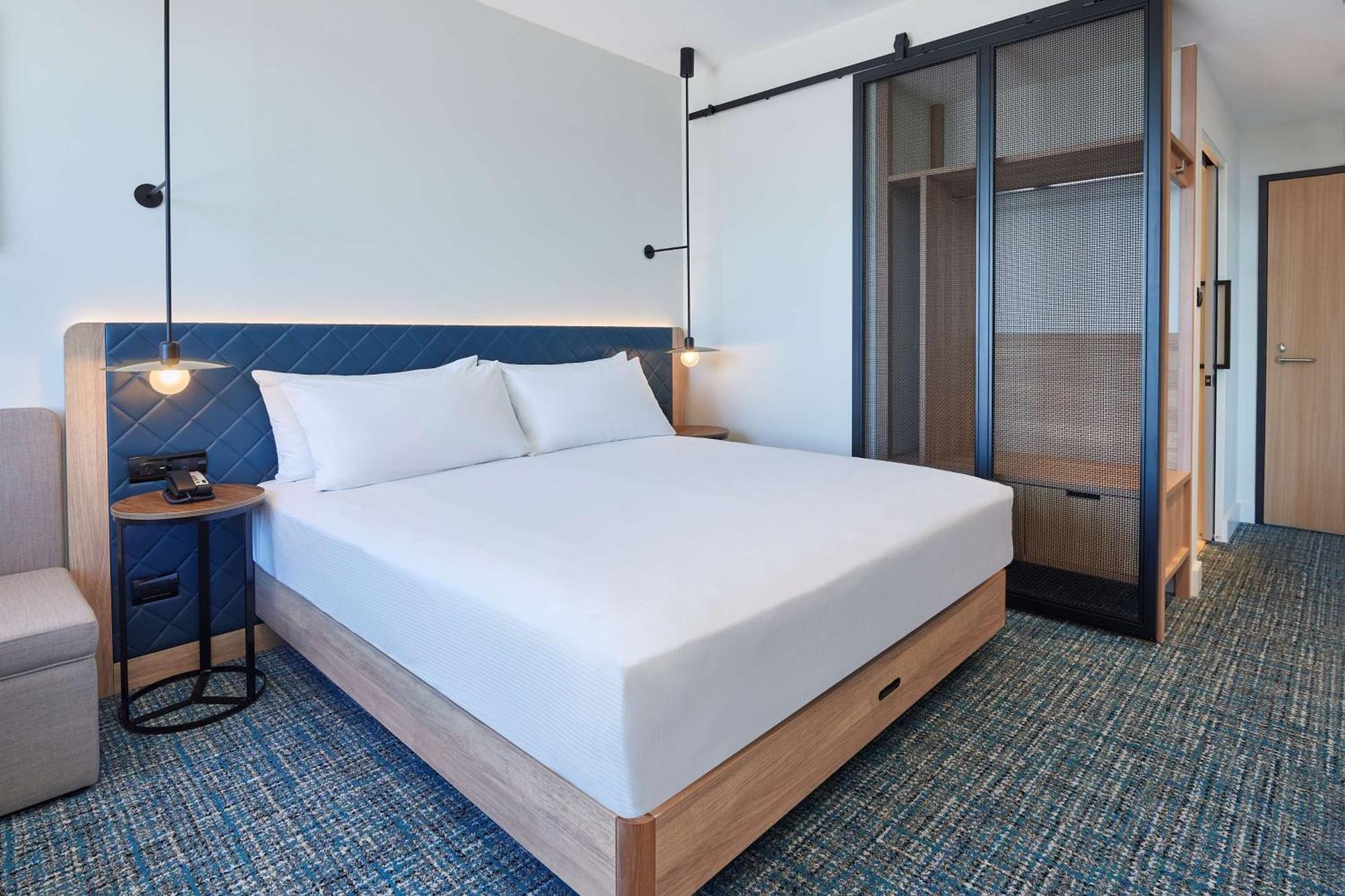 Hilton Garden Inn Albany, Wa מראה חיצוני תמונה